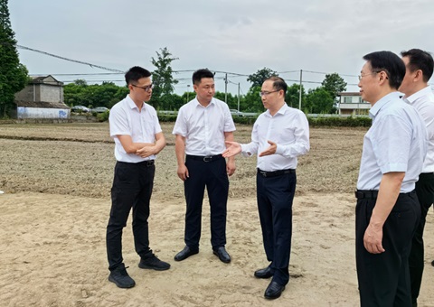 胡云赴眉山调研耕地保；；な褂煤透弑曜寂┨锝ㄉ枋虑