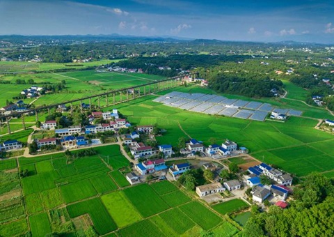 湖南：靶向发力盘活存量土地资产<br>为206家机关企事业单位定制处理方案，，，盘活土地2.6万亩